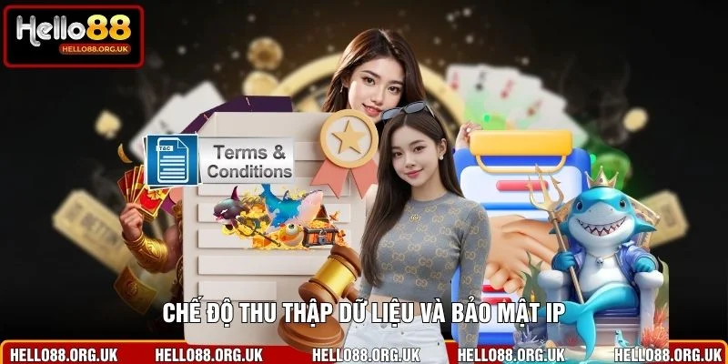 Chế độ thu thập dữ liệu và bảo mật IP