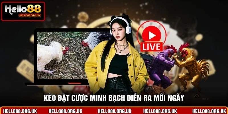 Kèo đặt cược minh bạch diễn ra mỗi ngày